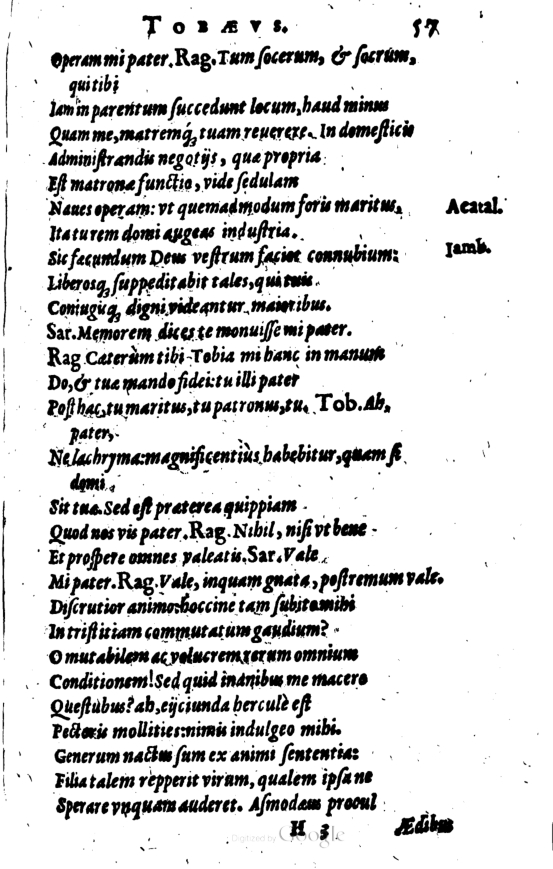 SchonaeusI1614257.jpg