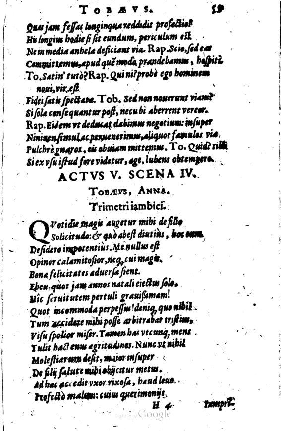 SchonaeusI1614259.jpg