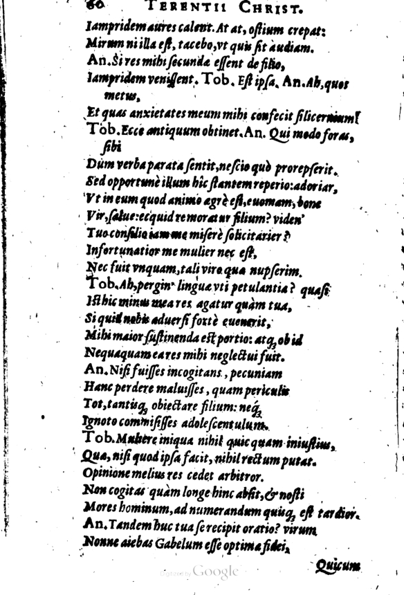 SchonaeusI1614260.jpg