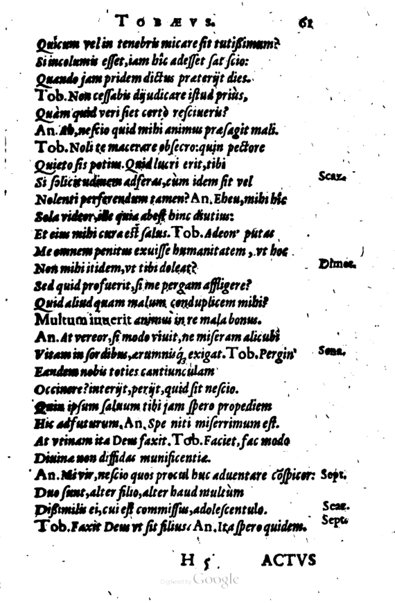 SchonaeusI1614261.jpg