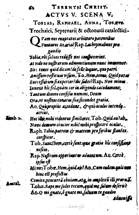 SchonaeusI1614262.jpg