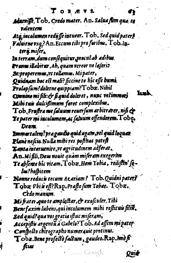 SchonaeusI1614263.jpg