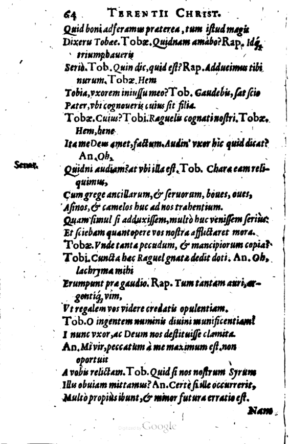 SchonaeusI1614264.jpg