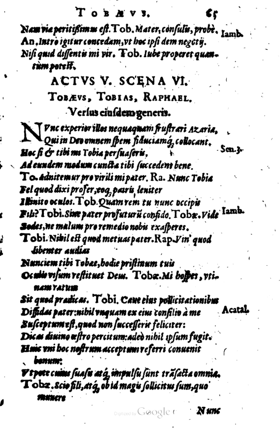 SchonaeusI1614265.jpg