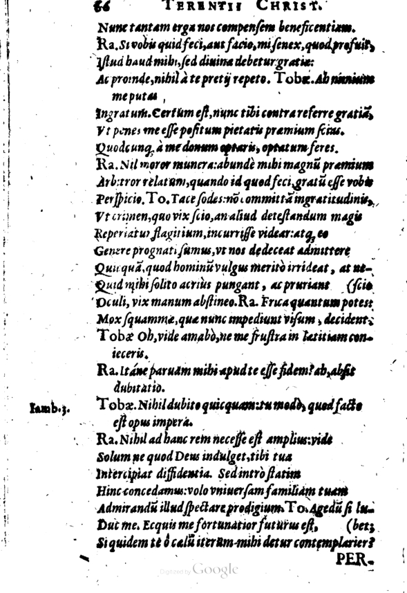 SchonaeusI1614266.jpg