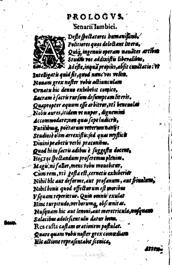 SchonaeusI1614302.jpg