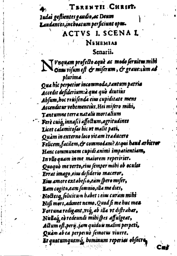 SchonaeusI1614304.jpg