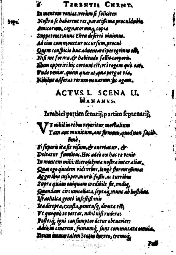 SchonaeusI1614306.jpg