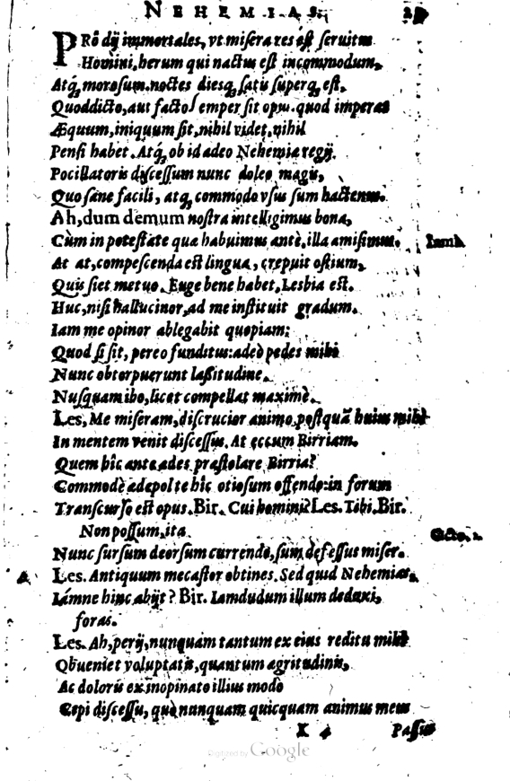 SchonaeusI1614323.jpg