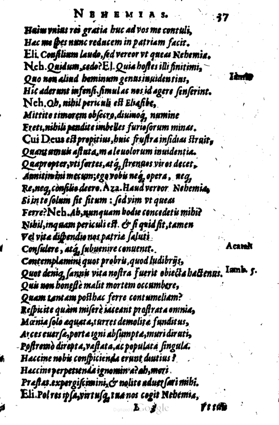 SchonaeusI1614337.jpg