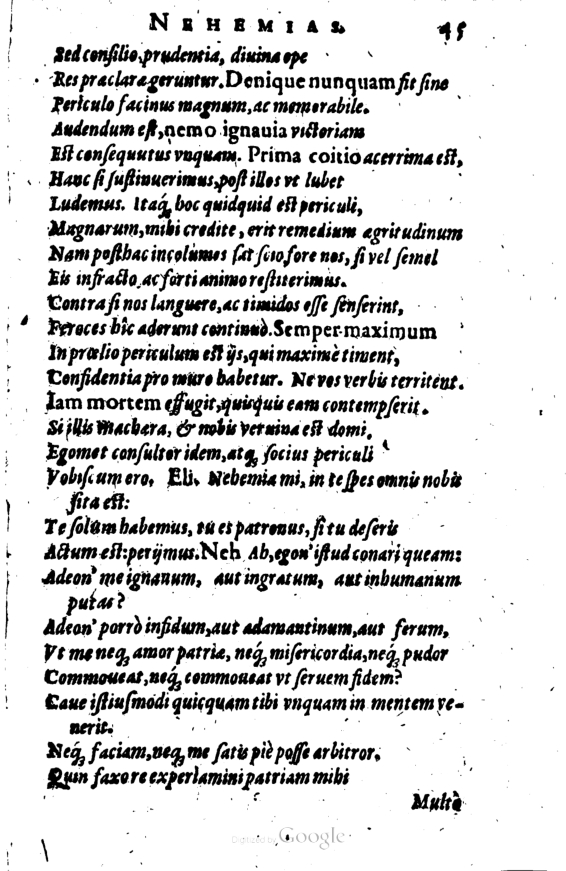 SchonaeusI1614345.jpg