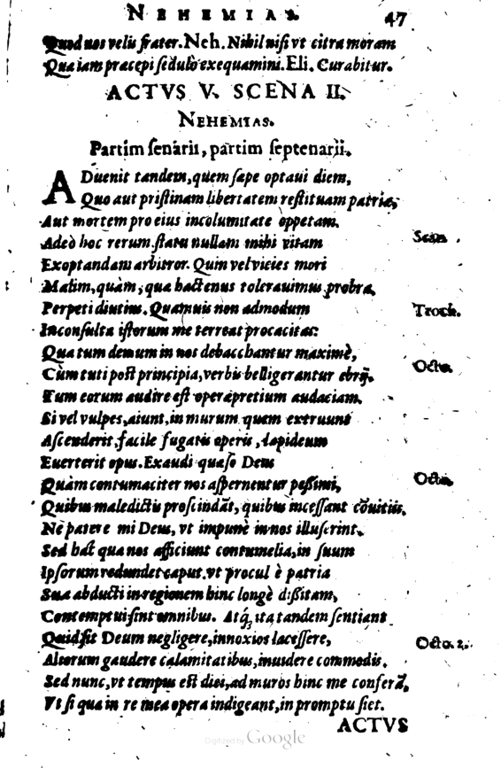 SchonaeusI1614347.jpg