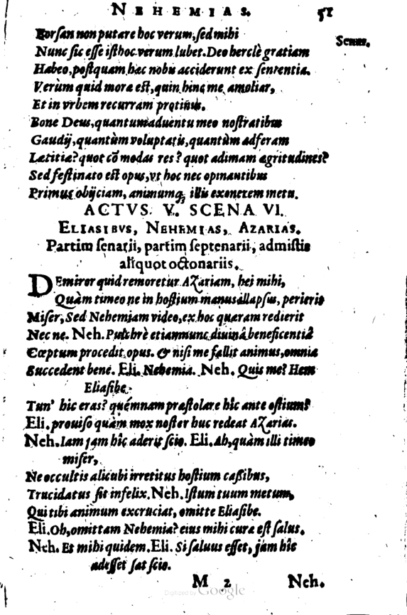 SchonaeusI1614351.jpg