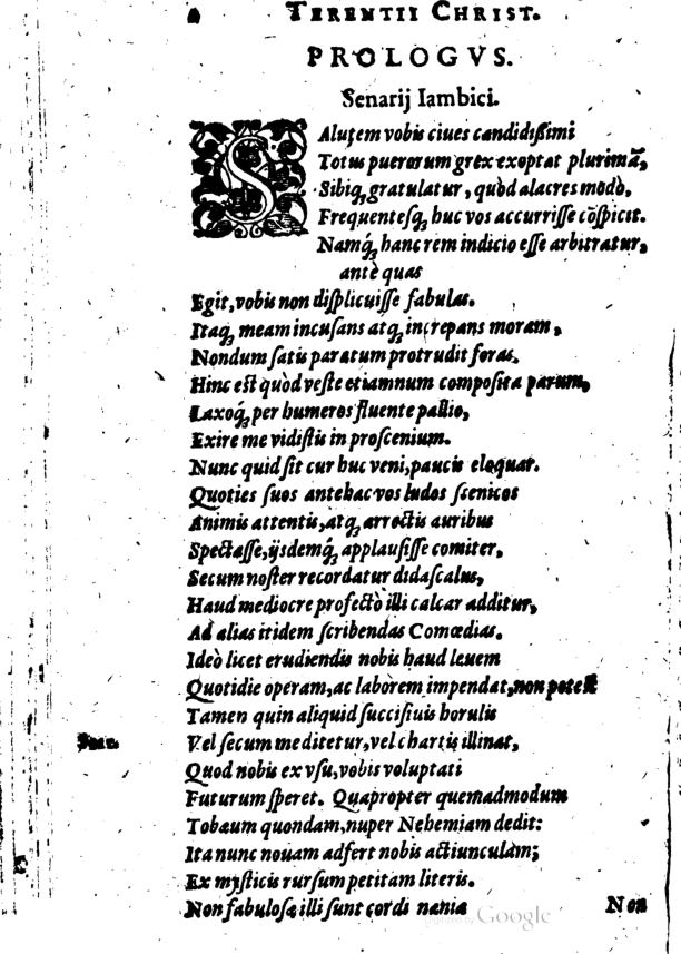 SchonaeusI1614402.jpg