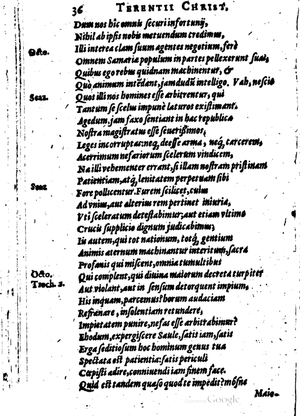 SchonaeusI1614436.jpg