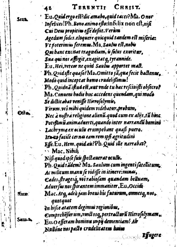 SchonaeusI1614442.jpg