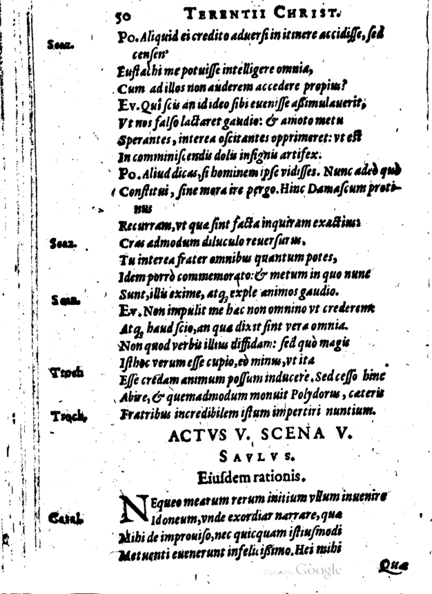 SchonaeusI1614450.jpg