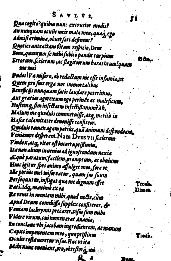 SchonaeusI1614451.jpg