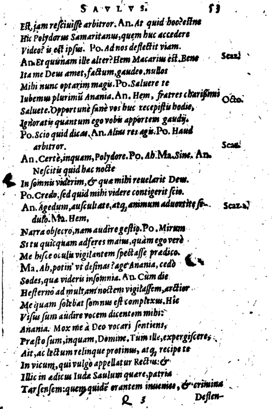 SchonaeusI1614453.jpg