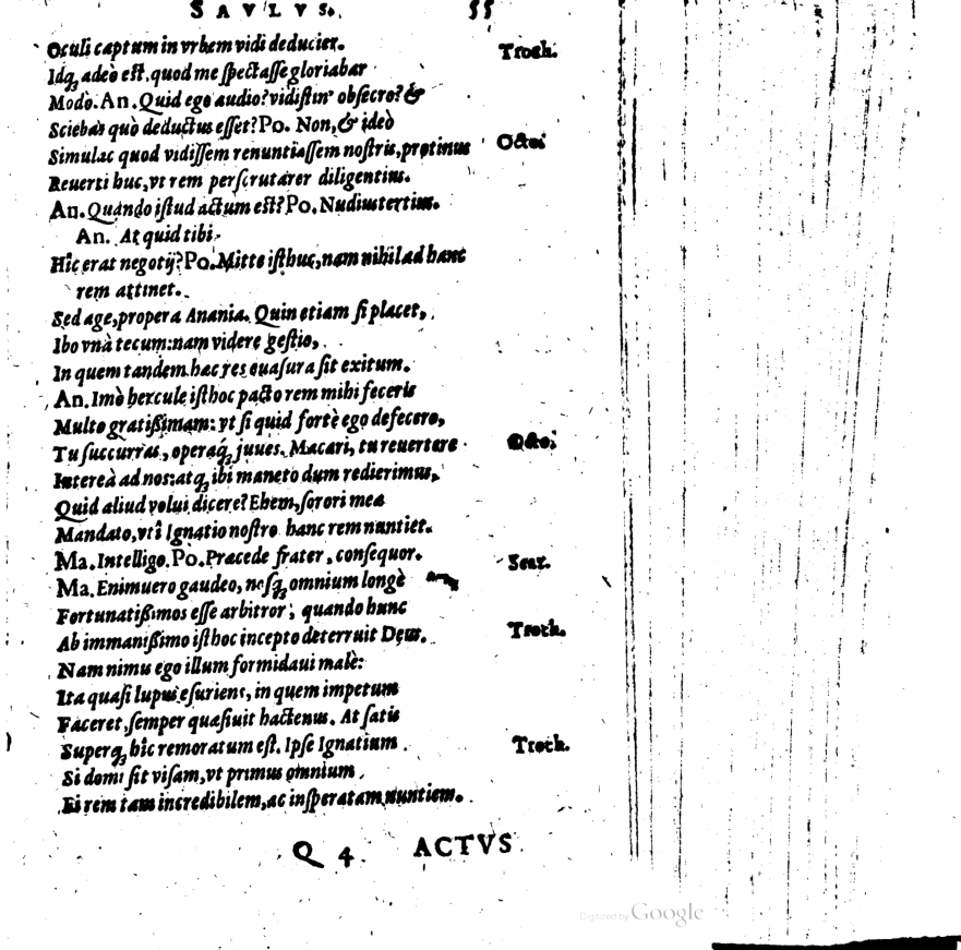 SchonaeusI1614455.jpg