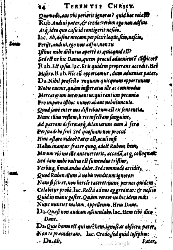 SchonaeusI1614514.jpg