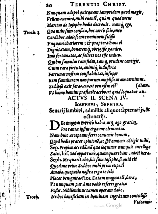 SchonaeusI1614520.jpg