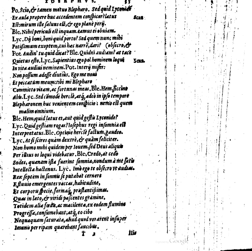 SchonaeusI1614535.jpg