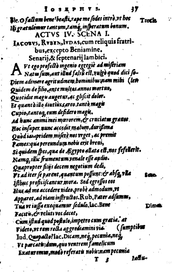 SchonaeusI1614537.jpg