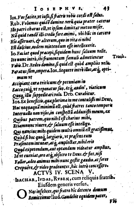 SchonaeusI1614543.jpg