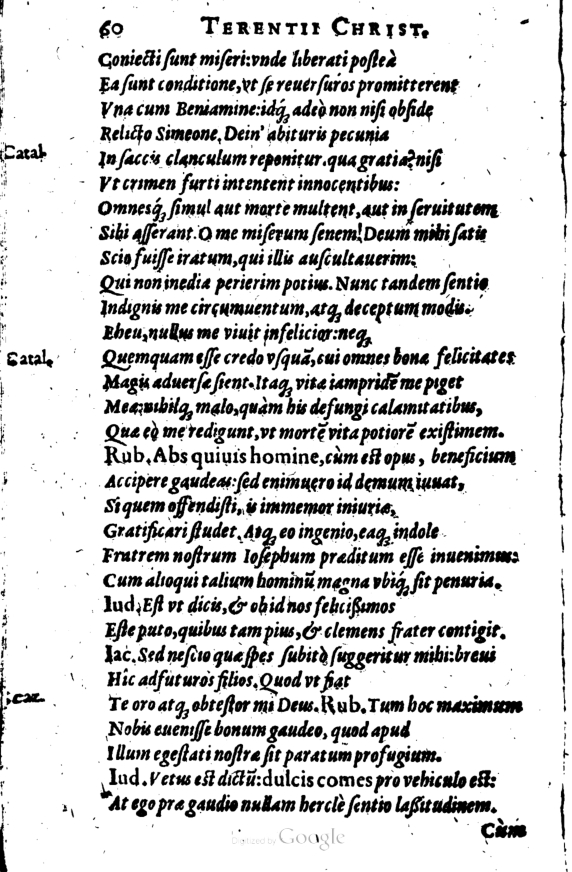 SchonaeusI1614560.jpg