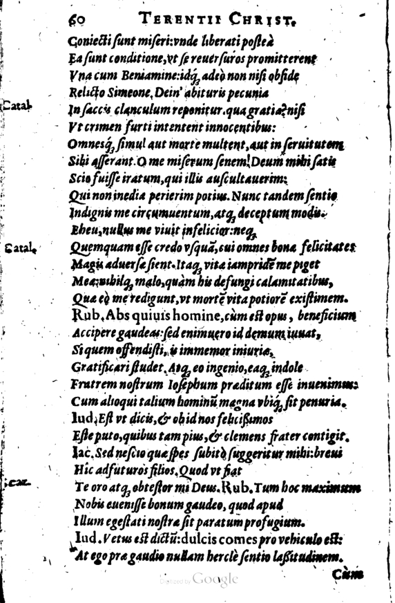 SchonaeusI1614560.jpg