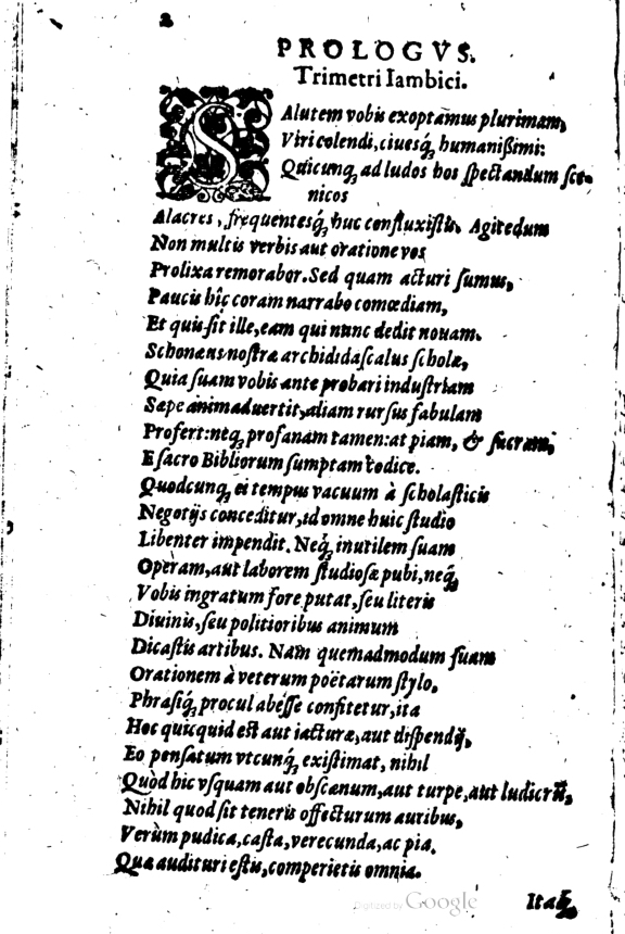 SchonaeusI1614602.jpg