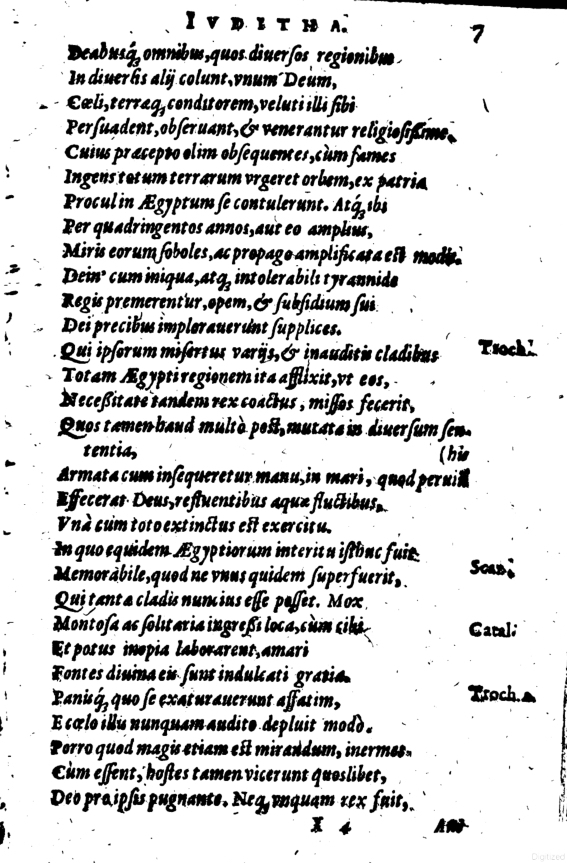 SchonaeusI1614607.jpg