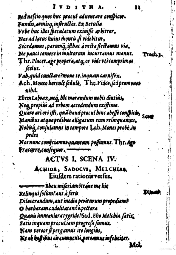 SchonaeusI1614611.jpg