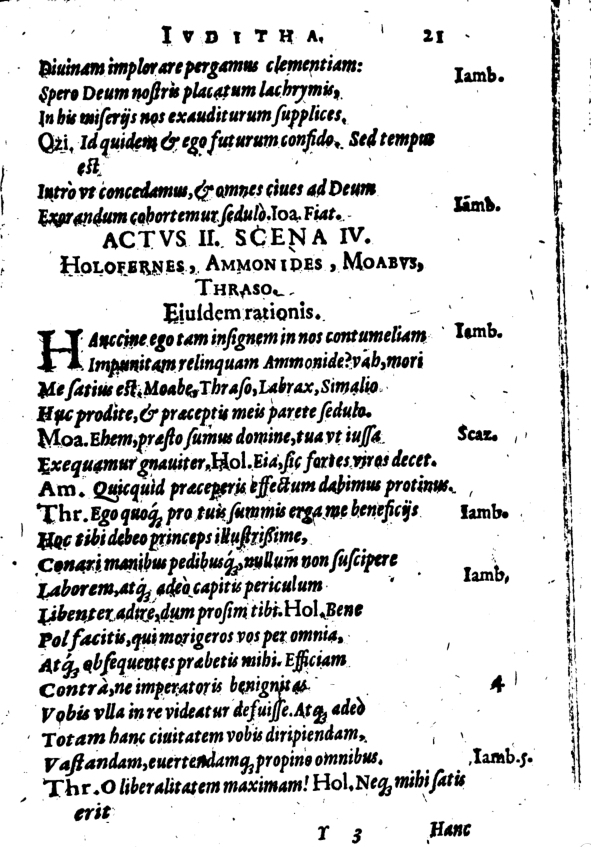 SchonaeusI1614621.jpg