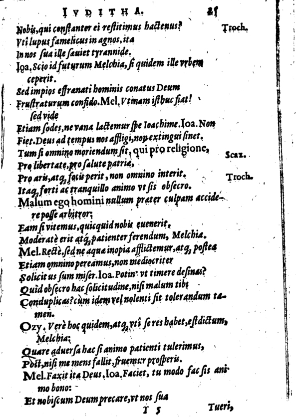 SchonaeusI1614625.jpg