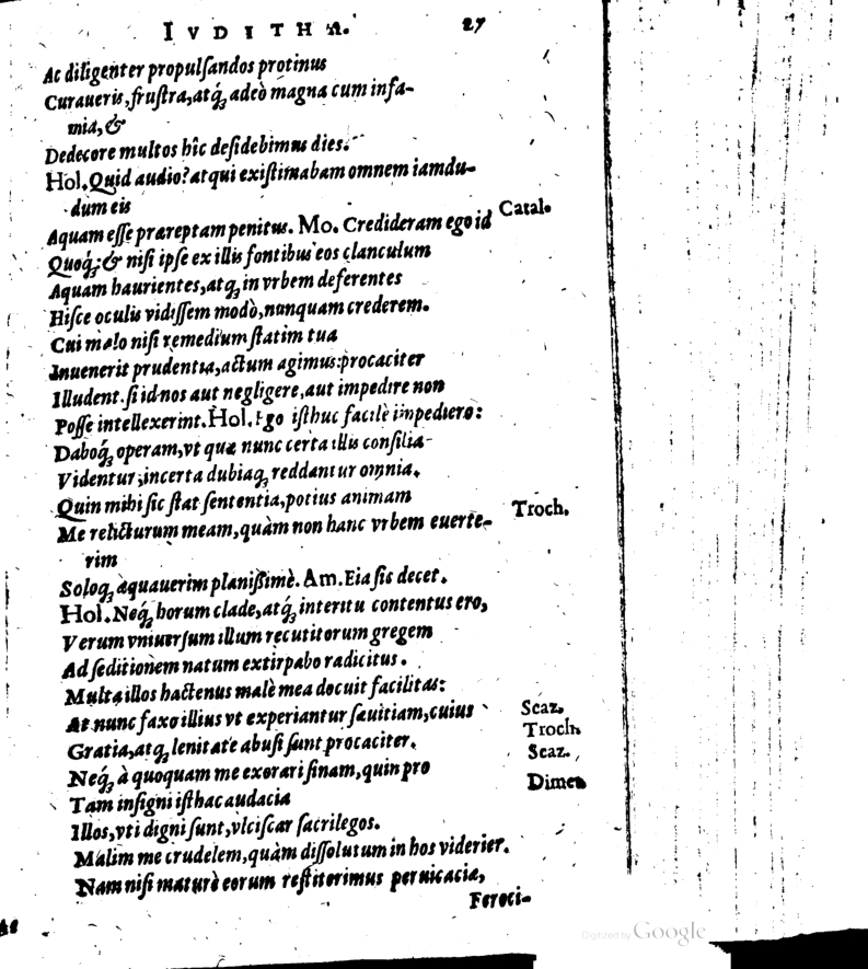 SchonaeusI1614627.jpg