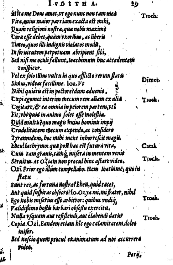 SchonaeusI1614629.jpg