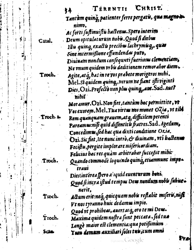 SchonaeusI1614634.jpg