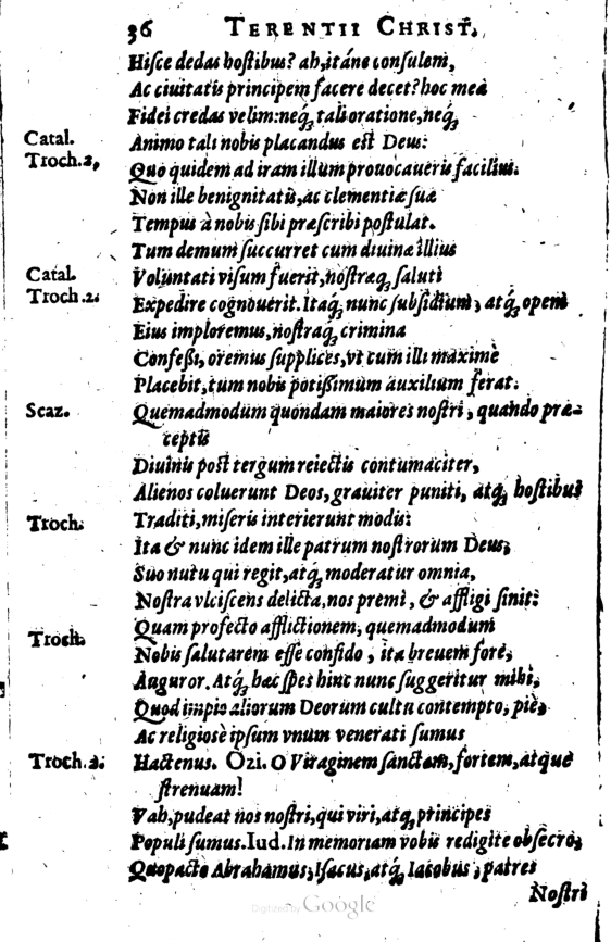 SchonaeusI1614636.jpg