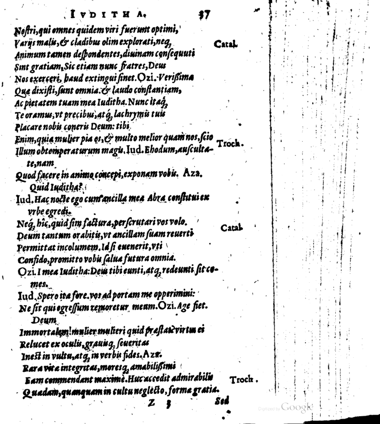 SchonaeusI1614637.jpg