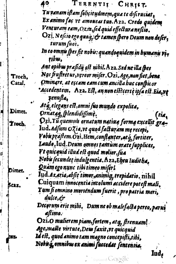 SchonaeusI1614640.jpg