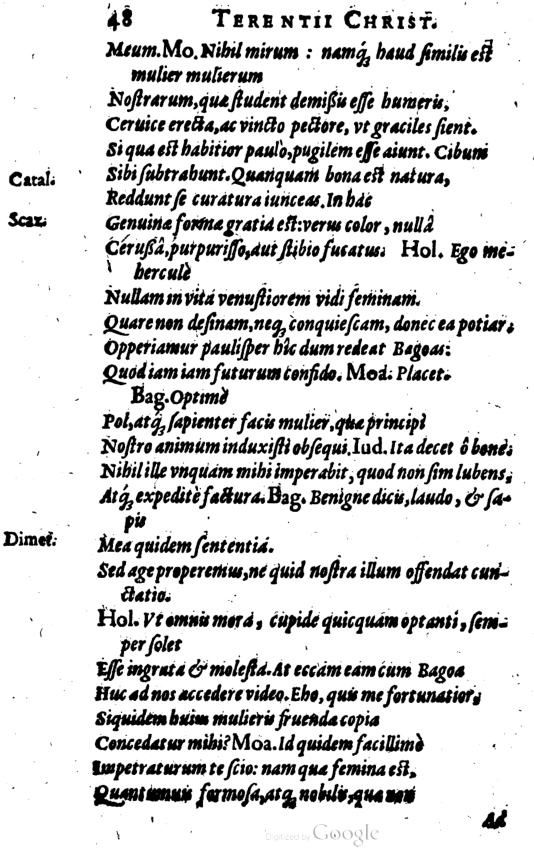 SchonaeusI1614648.jpg