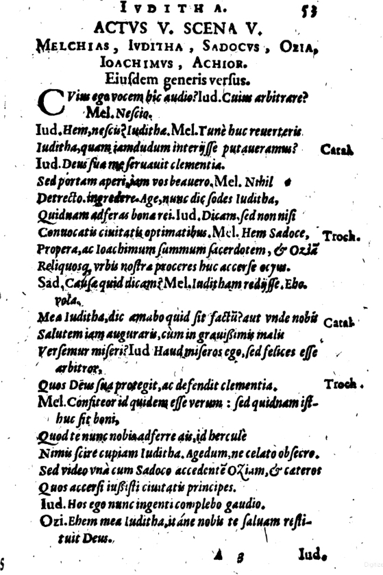 SchonaeusI1614653.jpg