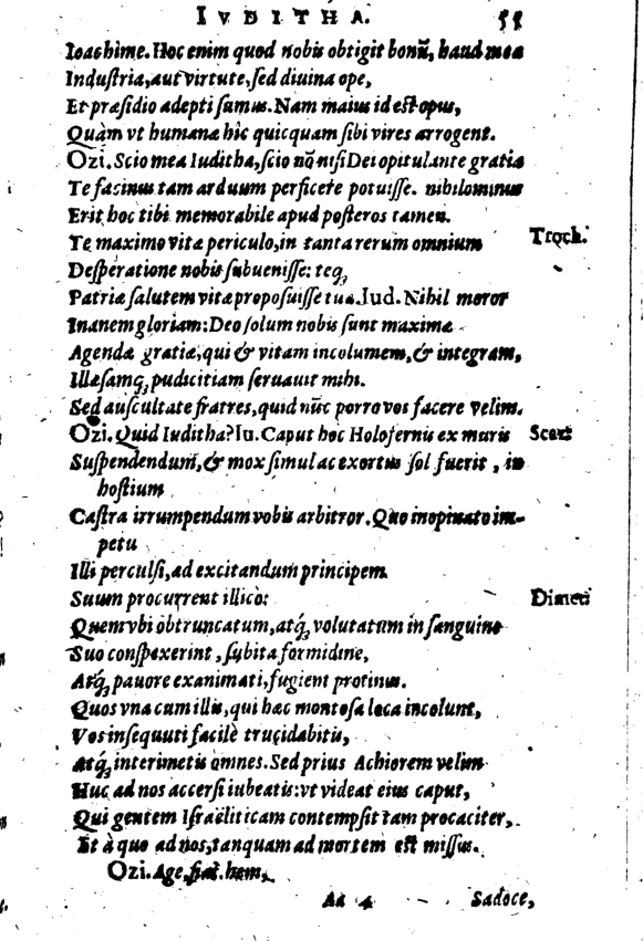 SchonaeusI1614655.jpg