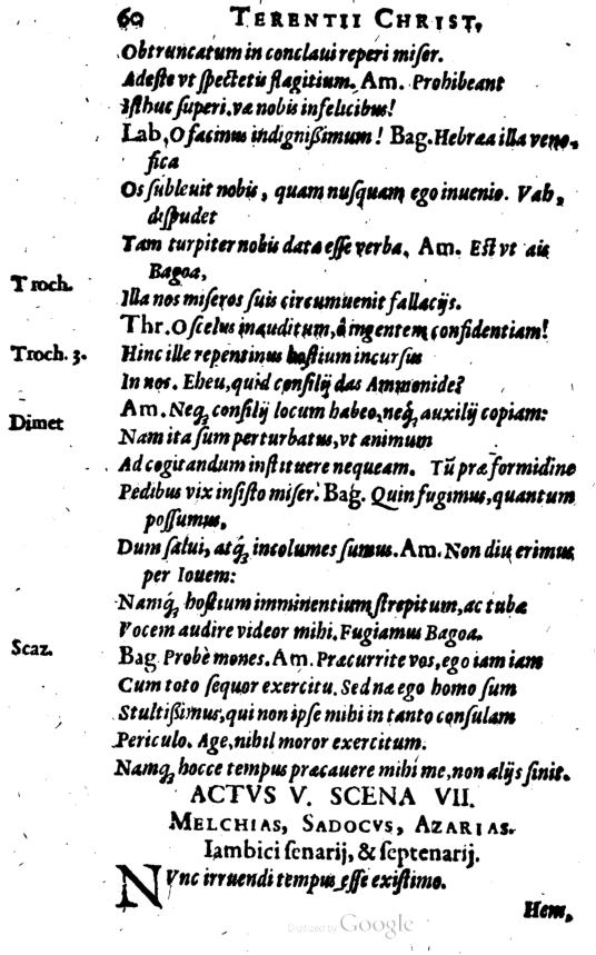 SchonaeusI1614660.jpg