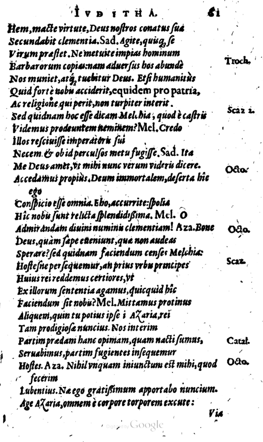 SchonaeusI1614661.jpg