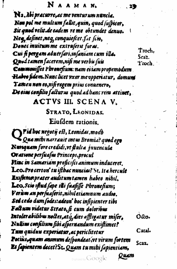 SchonaeusI1614129