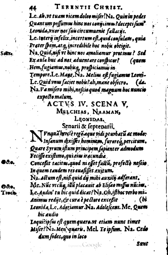 SchonaeusI1614144