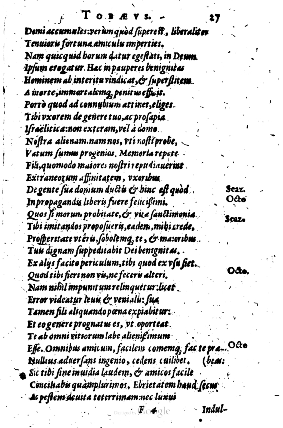 SchonaeusI1614227